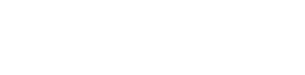 wekiwi logo white